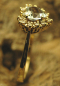 Preview: Aquamarin Ring mit Brill. 585 GG